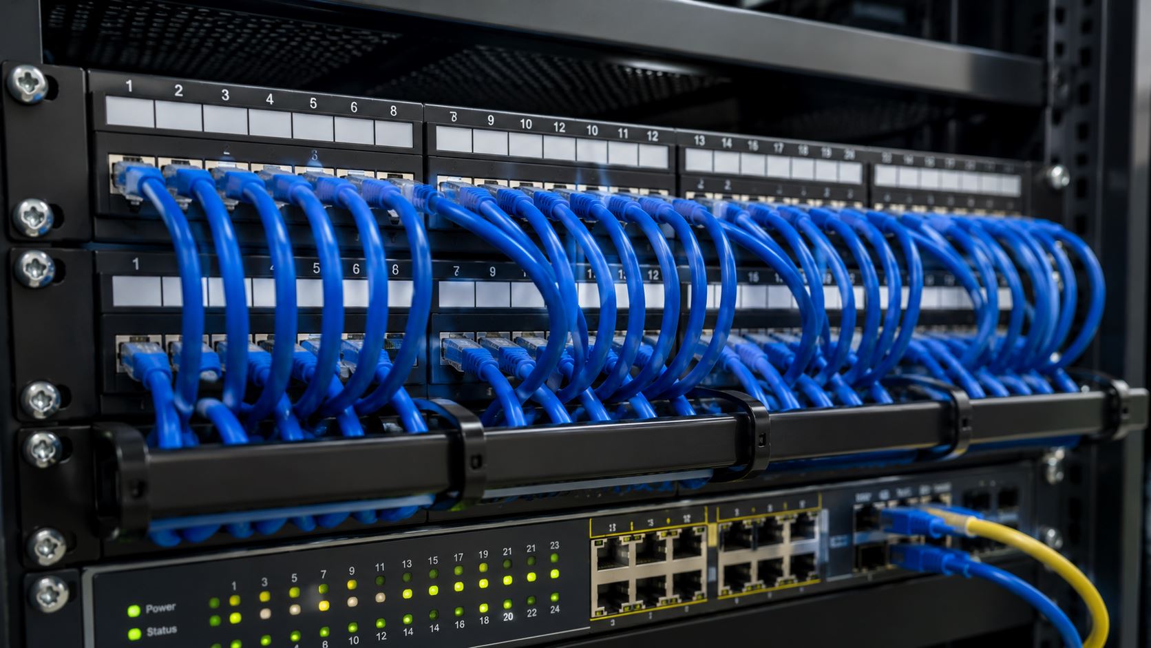 Rack-mounted patch panels with blue ethernet cables routed through cable management bars